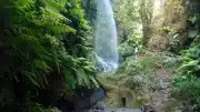 Naturreservat Los Tilos