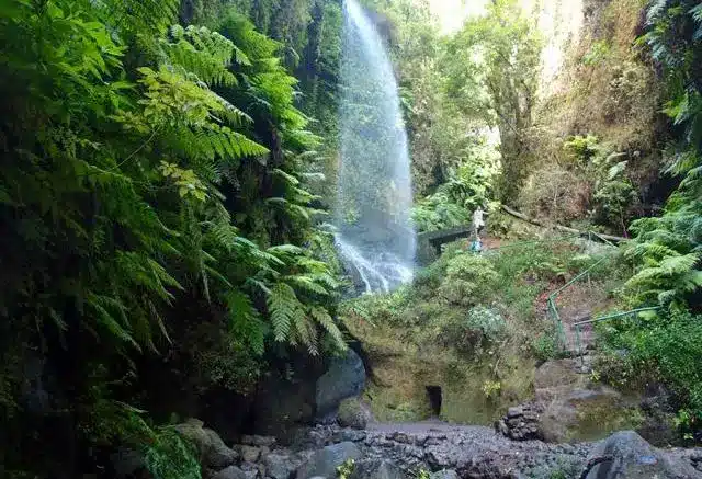 Naturreservat Los Tilos