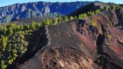 La Palma Transvulcania 2025
