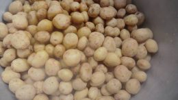 Kartoffeln