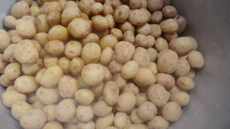 Kartoffeln