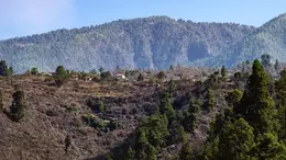 Reinigung - Tijarafe