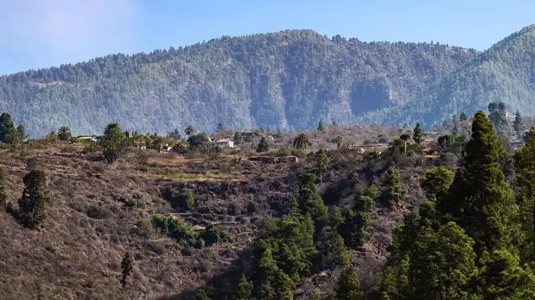 Reinigung - Tijarafe