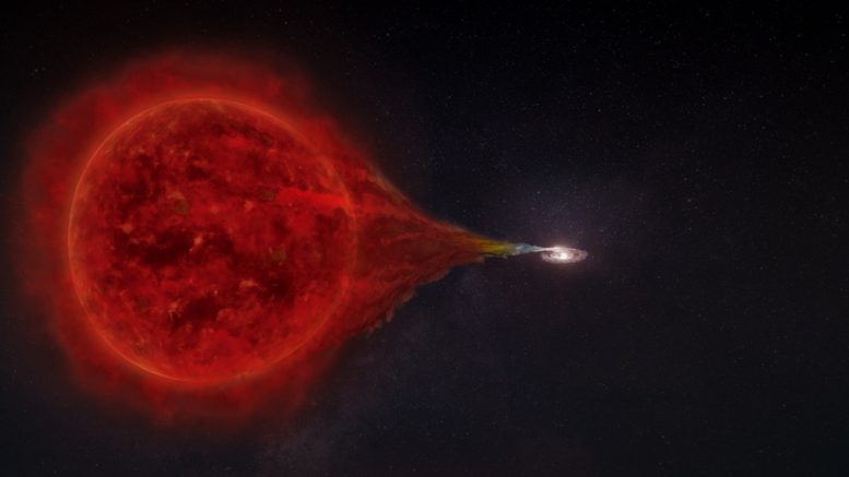 Stern - NOVA