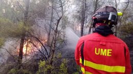 Feuer - Hitzewelle