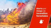 Feuer - Waldbrandgefahr